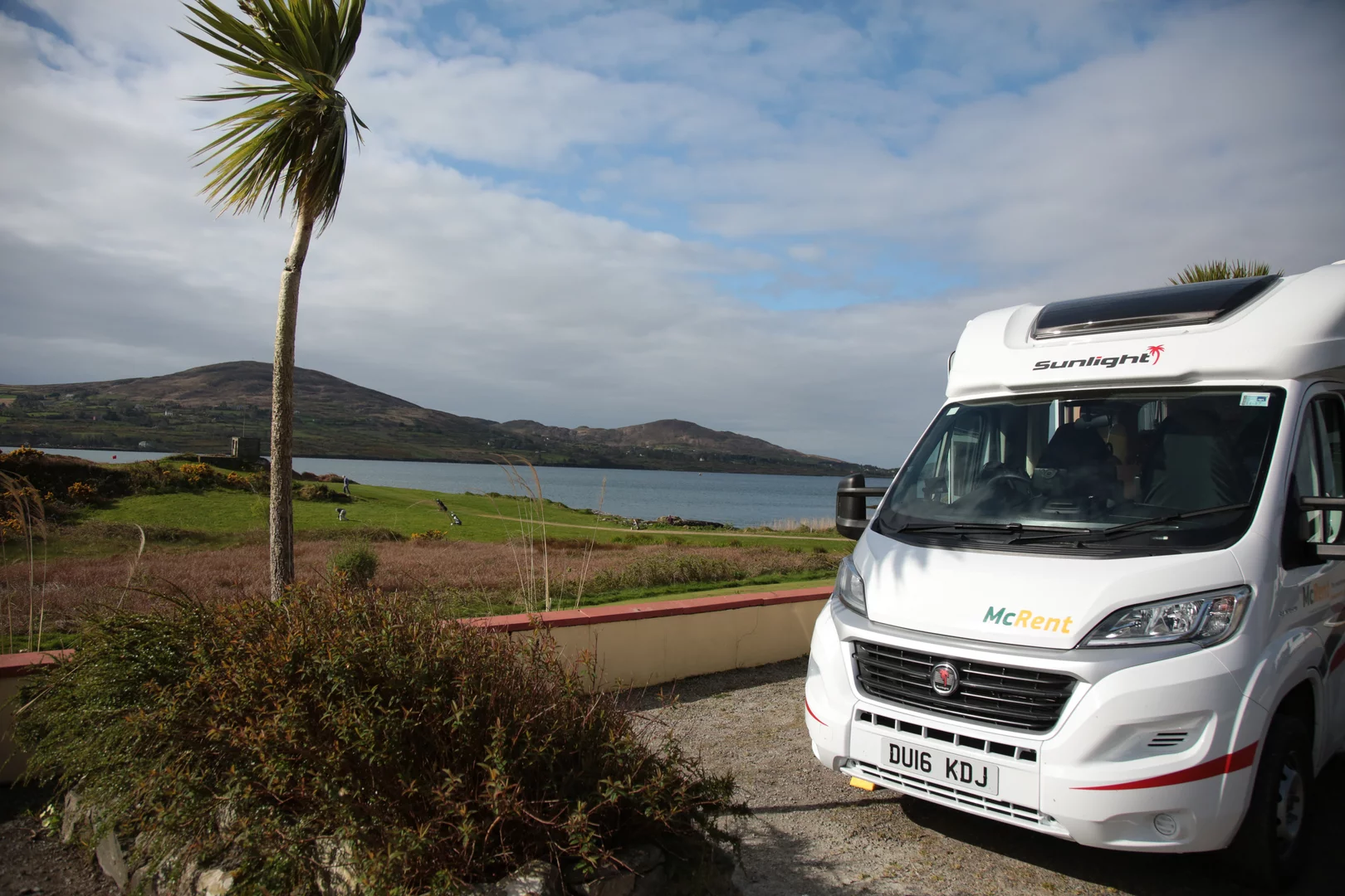 Mcrentals Search for a car rental. fox on green