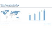 Umsatzentwicklung weltweit